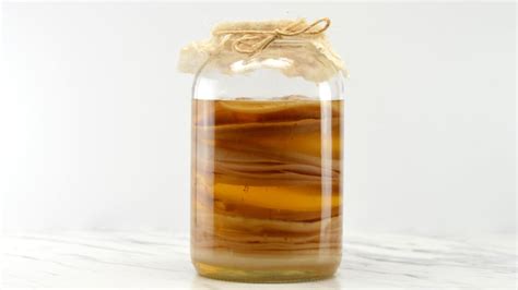 Unflavored Kombucha For Starter Great Kombucha