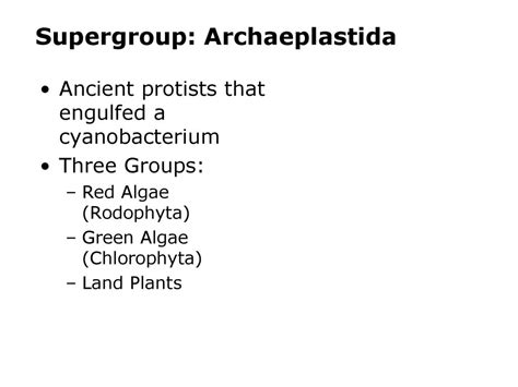 Origins of Eukaryotic Diversity – Protists Diversity - ppt download