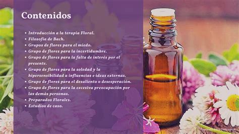 Flores De Bach Instituto Ser Y Conciencia