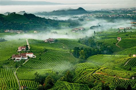 Prosecco Dal 2019 Stop Al Glifosato In Tutta L Area Del Valdobbiadene