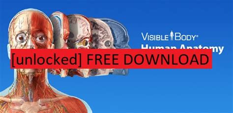 Visible Body Human Anatomy Atlas Windows Store Insightstolf