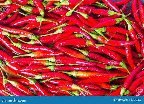 Thin Red Peppers On A Pile Background Stock Image Image Of Pepper