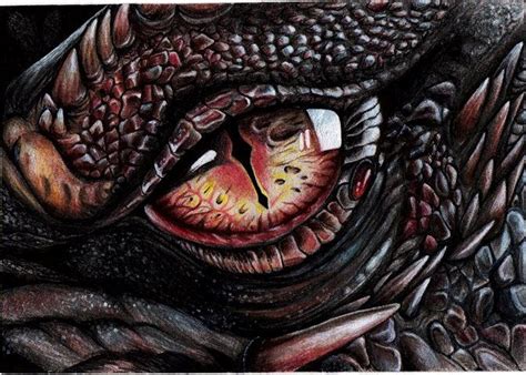 Dragon Eye Dragon Eye Dragon Eye Drawing Reptile Eye