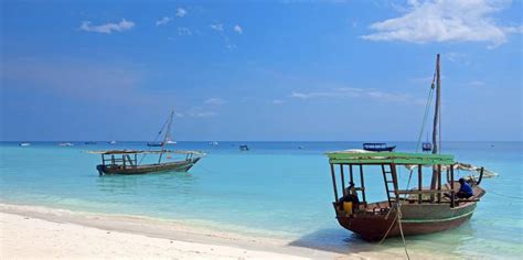 Tanzania Safari and Zanzibar Beach Break | On The Go Tours