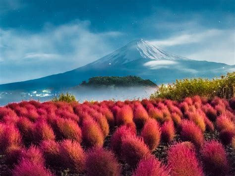 秋旅！紅葉や温泉、絶景など秋に行くべき東日本の名所20選 トラベルマガジン