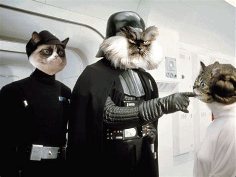 Darth Vader Cat