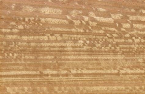 Colori Del Legno Eucalipto Solid Renner