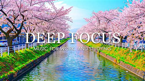 Deep Focus Music For Studying 12 Hours Of Ambient Study Music To