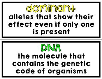 Genetics Word Wall By Mrs Maddox S Class TPT