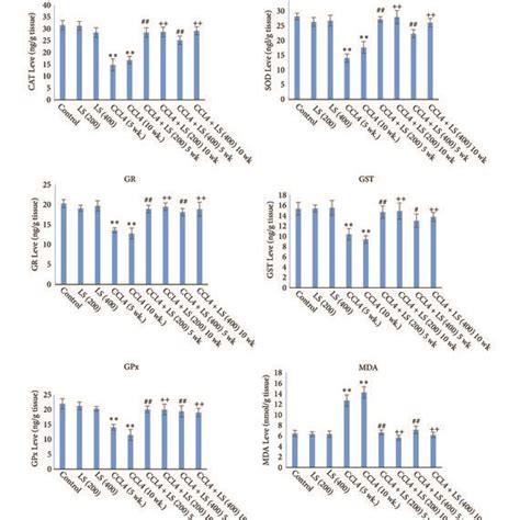 Effects Of Lss On Oxidative Stress Markers In Rabbits Treated With Ccl4