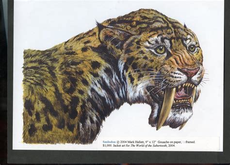 "Sabertoothed Cat" (Megantereon) | Artists for Conservation