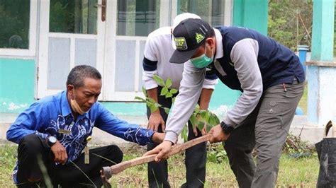 Dukung Sekolah Adiwiyata KPH Tabalong Kalsel Tanam Ratusan Pohon Di