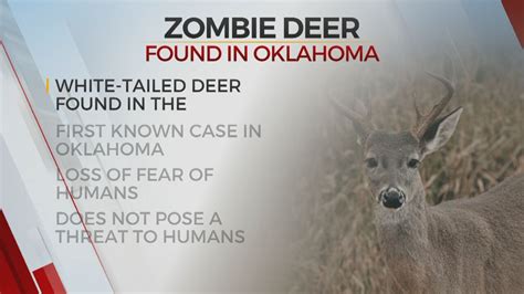 White Tailed Deer In The Oklahoma Panhandle Tests Positive For Chronic