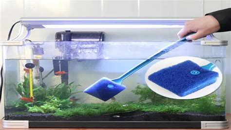 How To Clean Fish Aquarium Rocks Like A Pro Step By Step Guide