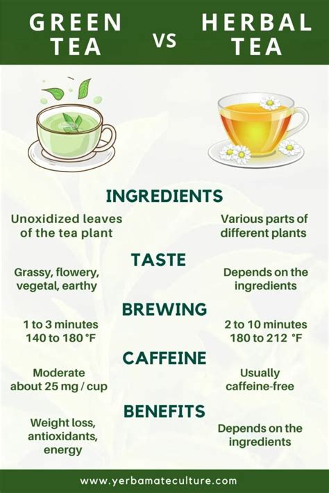 Green Tea Vs Herbal Tea How Are They Different