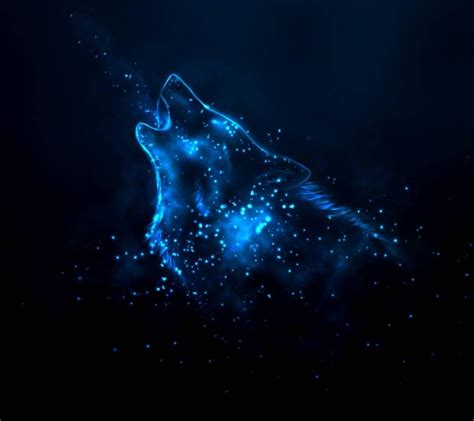 Midnight Wolf Wallpapers Top Free Midnight Wolf Backgrounds