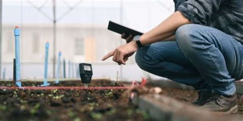 The Best Soil Ph Testers In