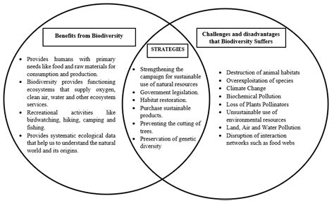 Solved List Down Several Concepts That The Society Or Human Beings