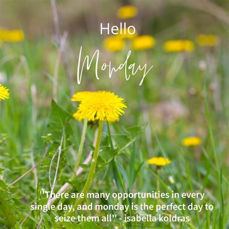 Hello Monday Flyer Template Postermywall