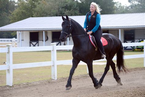 Horse trainer and Army wife; one woman's perfect balance | Article ...