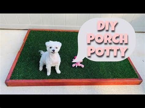 HOW TO: Build a DIY Dog Porch Potty / Easy and Simple DIY Porch Potty - YouTube | Porch potty ...