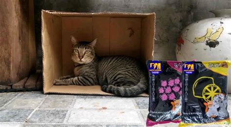 bye bye poo bentonite cat litter repacked kg bm lazada ph