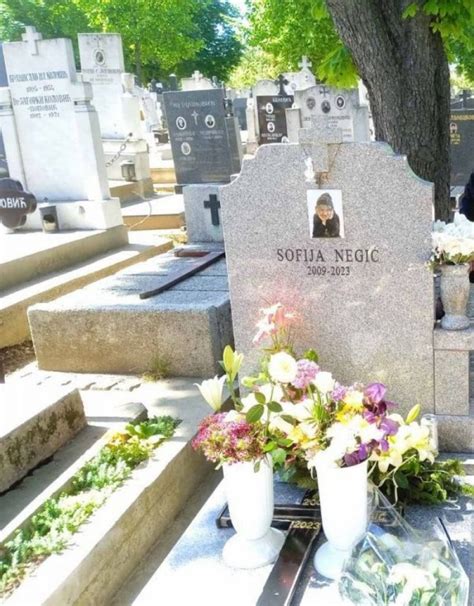 Sofija “Sof” Negic (2009-2023) - Find a Grave Memorial