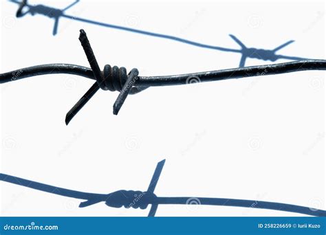 Barbed Wire Against White Background As A Symbol Of Totalitarianism