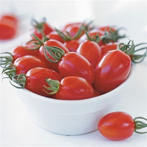 Graines potagères TOMATE CERISE CAPRICCIO F1 PROSEM