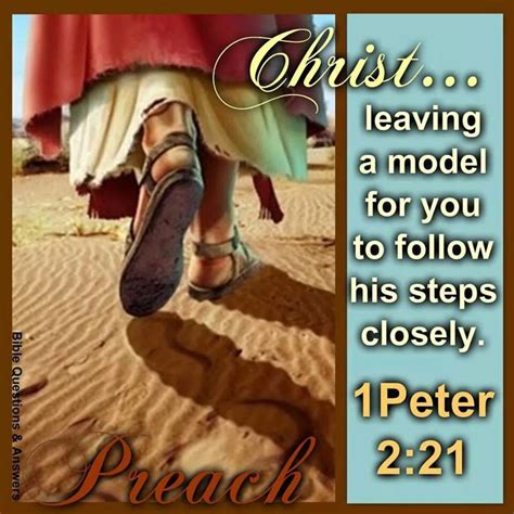 What Does The Name Peter Mean In English Petspare