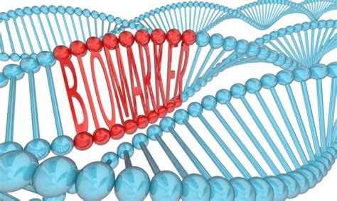 Biomarkers Explained 6 Key Biomarkers For Performance Health