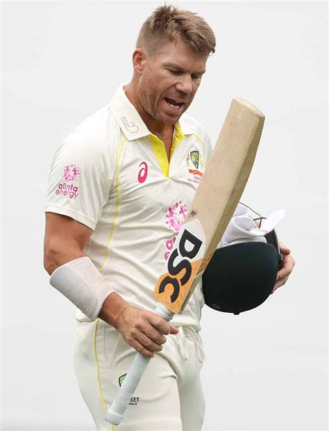 Why Warner fears for future of Test cricket - Rediff Cricket