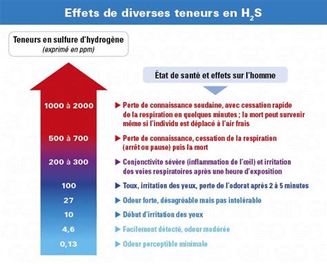 Détecteur gaz H2S Sulfure d hydrogène Hydrogène sulfuré GazDetect