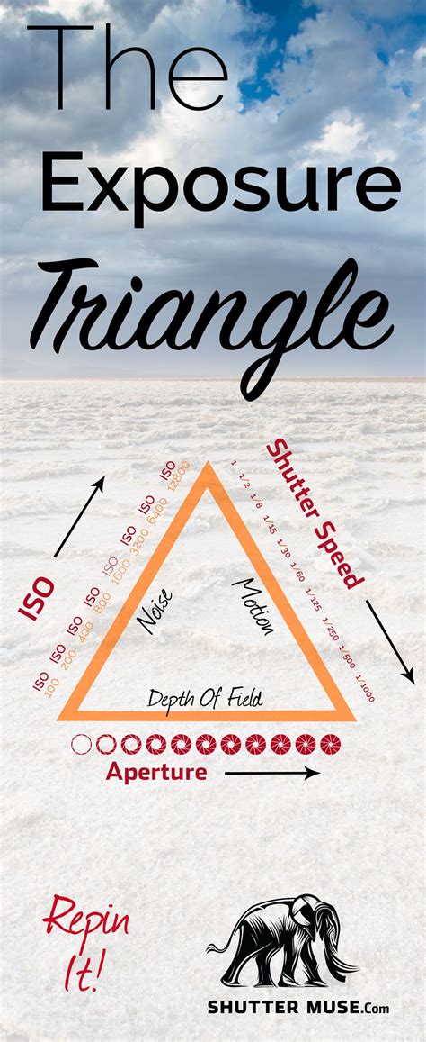 The Exposure Triangle Is Shown With An Elephant In The Middle And Other