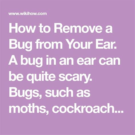 Best Way To Remove Bug From Ear