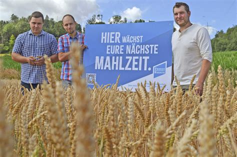 Weizen Mais Und Gr Nland Leiden Unter Der Trockenheit Bayerisches