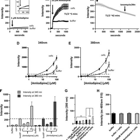 Effects Of Amlodipine On Cytosolic Ca 2 Signals In Fura 5F Loaded