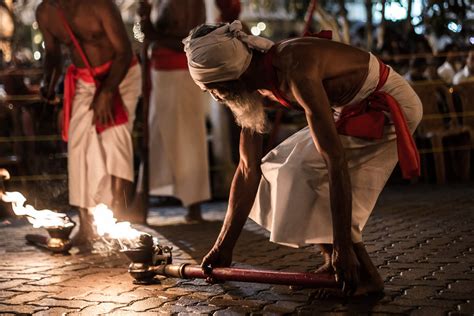Kandy Esala Perahera 2024 In Sri Lanka Roveme