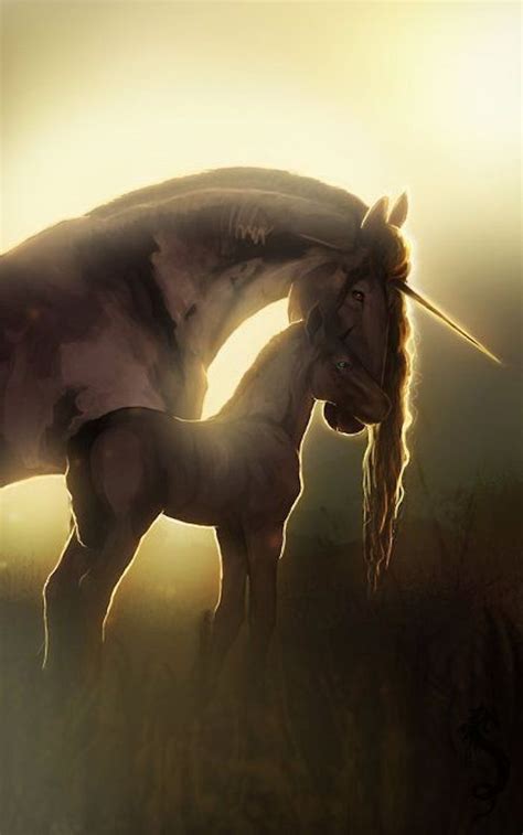 Pin by Anna Krzyszczak Pskit on Wspaniałe zdjęcia Fantasy horses