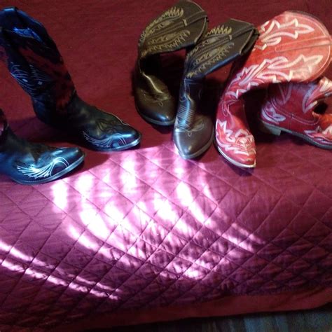 Shoes Women Cowboy Boots Poshmark