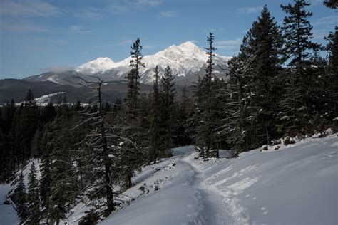 Things to Do in Jasper National Park in Winter – Bearfoot Theory