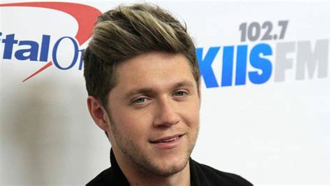 Niall Horan Seine Welttournee Findet Erst 2021 Statt Alfs Homepage