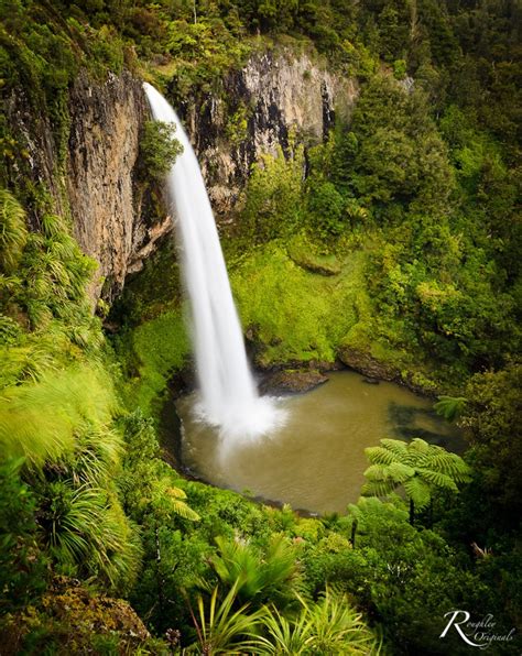 Bridal Veil Falls Raglan Bridal Veil Falls Places To Visit West