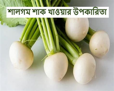 salgom shak