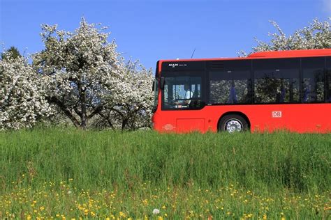 Badebus zum Freibad Nessenreben in Weingarten wieder eingeführt