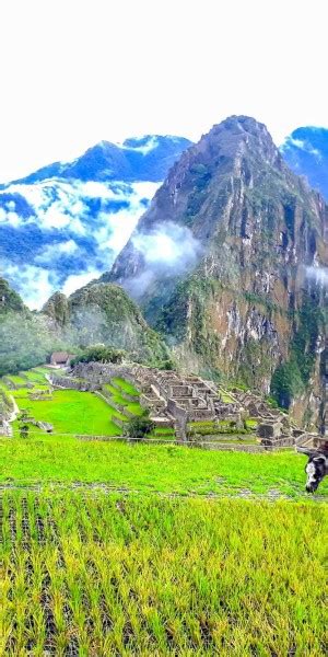 Cuzco D As De Ruta En Grupo Por El Camino Inca Hasta El Machu Picchu