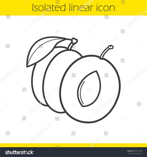 Plum Linear Icon Thin Line Illustration Stock Vector (Royalty Free ...