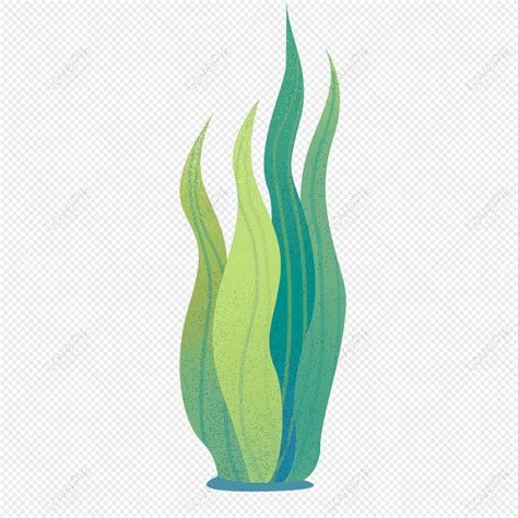 Light Green Aquatic Plants, Plants Vector, Art Plants, Light Vector PNG Hd Transparent Image And ...