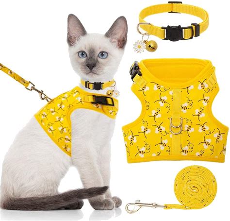 Best Cat Harnesses 2020 Reviews And Buyers Guide