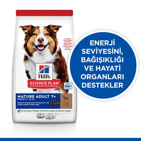 Hills Mature 7 Lamb Kuzulu Yaşlı Köpek Maması 14 Kg Köpek Kuru